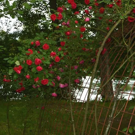 Hostel Rosa Bihać