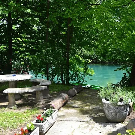 Rosa Bihac