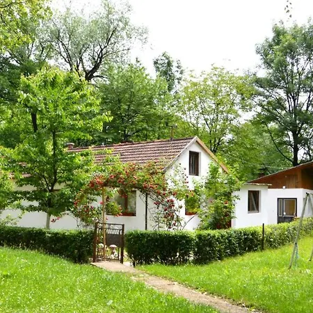 Rosa Hostel