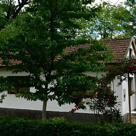 Vandrerhjem Rosa