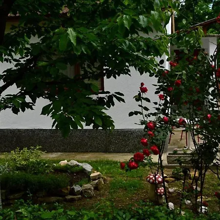 Rosa Vandrerhjem *
