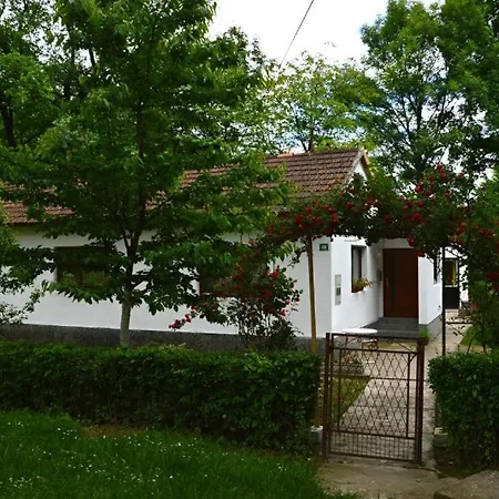 Rosa Hostel